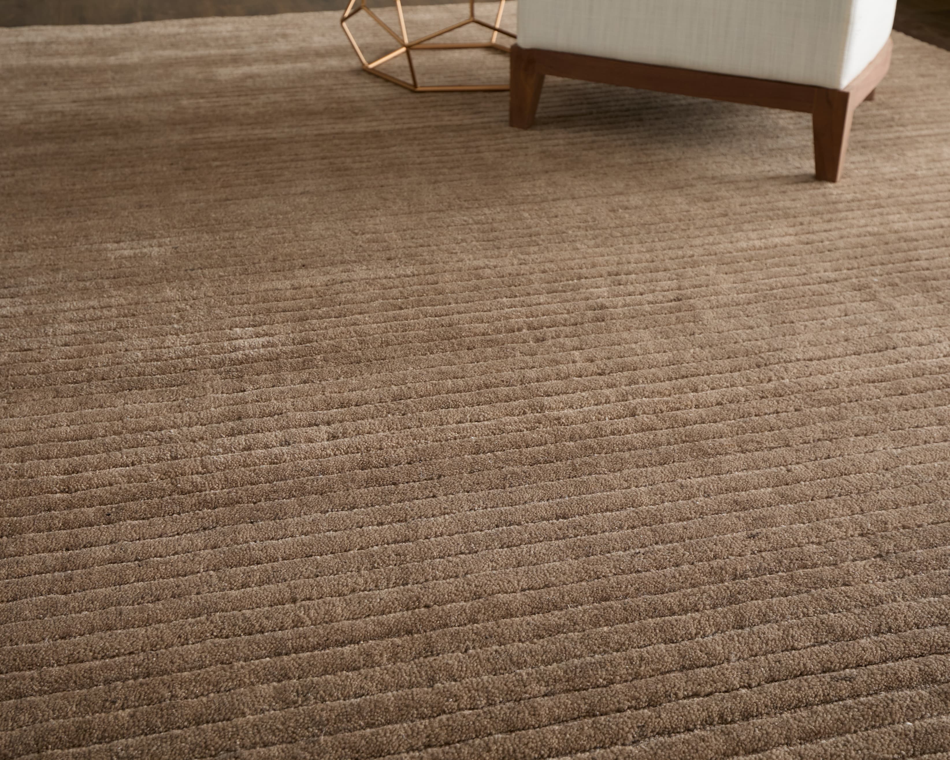Contemporary Tan rug styled in a room